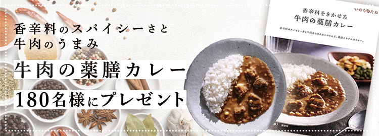 ヤマモリ 牛肉の薬膳カレー